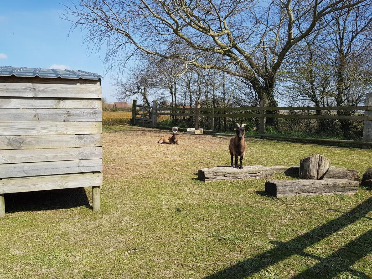 Au Soleil Vert - Chambre De Charme Avec Spa Et Sauna Prives Zeggers-Cappel ภายนอก รูปภาพ